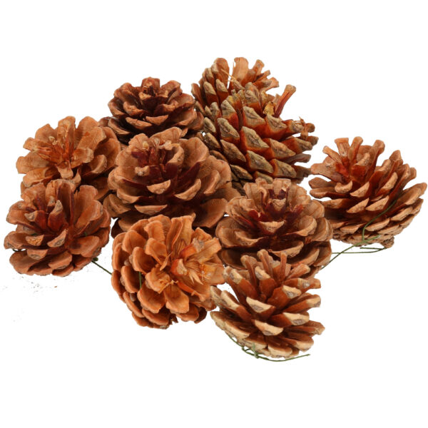 10x Bruine decoratie dennenappels 3,5 cm herfstdecoratie