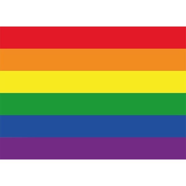 10x Regenboog vlag / LGBT vlag sticker 7.5 x 10 cm