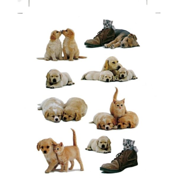 27x Honden/puppy en katten/poezen dieren stickers