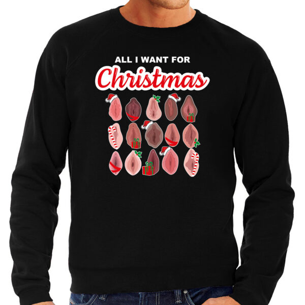 All I want for Christmas pussy/ vagina foute Kerst sweater / Kersttrui zwart voor heren