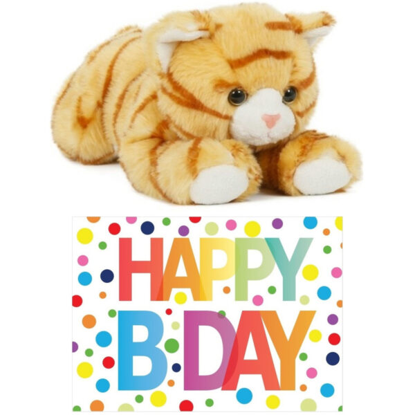 Cadeau setje pluche rood/witte kat/poes knuffel 25 cm met Happy Birthday wenskaart