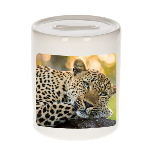 Dieren foto spaarpot luipaard 9 cm - jaguars/ luipaarden spaarpotten jongens en meisjes