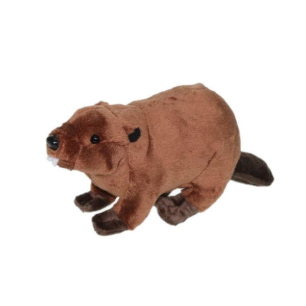 Pluche knuffel dier bever 24 cm