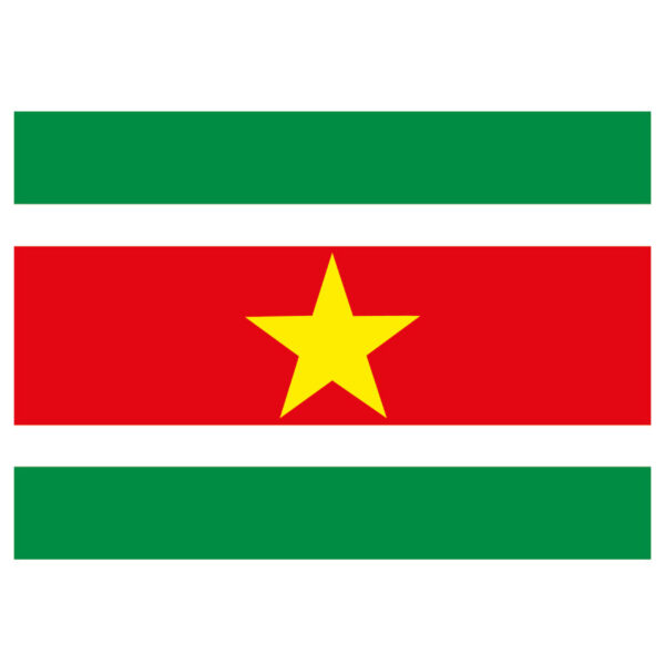 Vlag Suriname stickers 7.5 x 10 cm